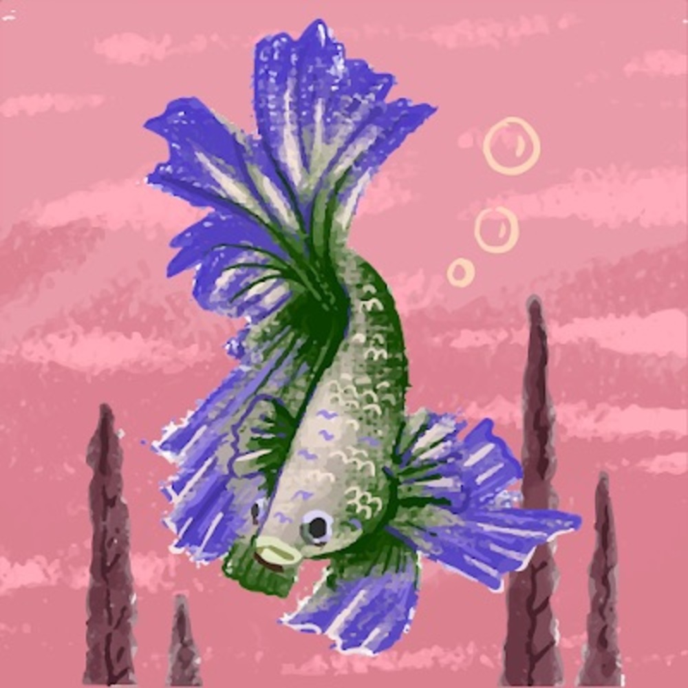 Meet your Posher, Nicfancy